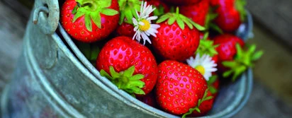 Mood Food – Lebensmittel und Stimmung