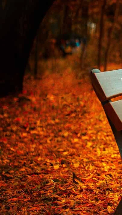 Zehn Gründe, den Herbst zu lieben