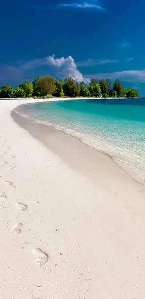 Reisetrends 2023